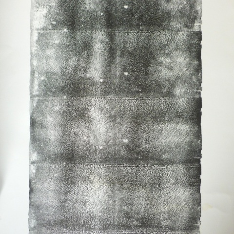 inchiostri tipogratici, 2009