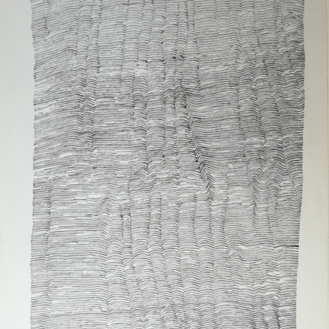 inchiostro su carta, 2016, cm30x50