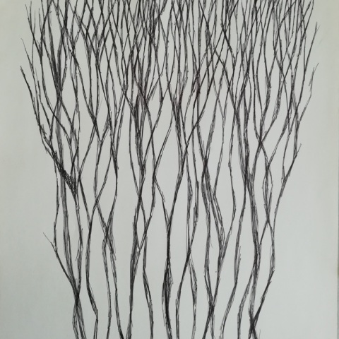 inchiostro su carta, 2018, cm30x50
