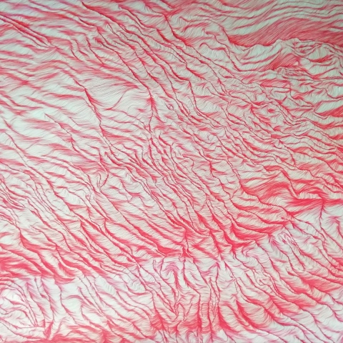 inchiostro su carta, 2019, cm100x70