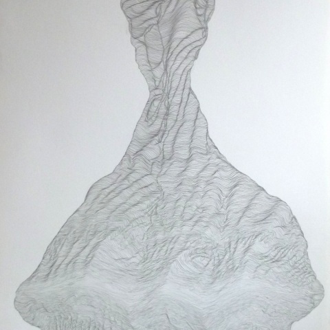 matita su carta, 2016, cm70x100