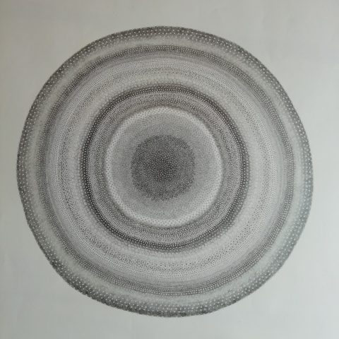 matita su carta, 2018, cm70x100