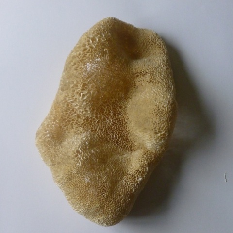 carta, 2013, cm50x30x15